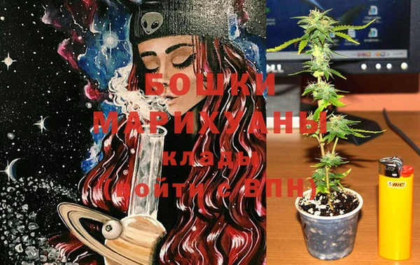 МДПВ Новозыбков