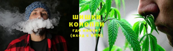 МДПВ Новозыбков