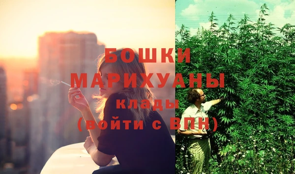 МДПВ Новозыбков