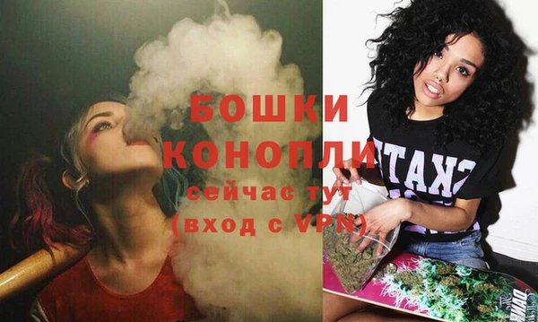 МДПВ Новозыбков