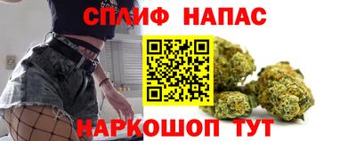 стаф Будённовск