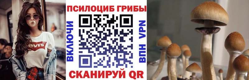 Галлюциногенные грибы MAGIC MUSHROOMS  наркотики  Сафоново 