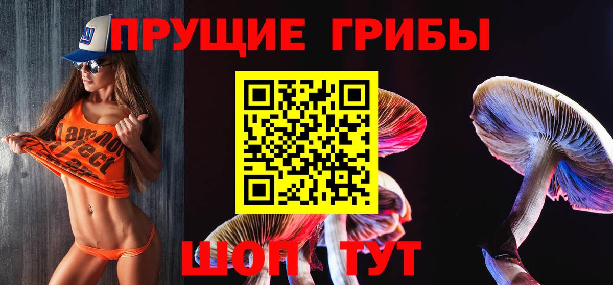 Галлюциногенные грибы GOLDEN TEACHER Сафоново