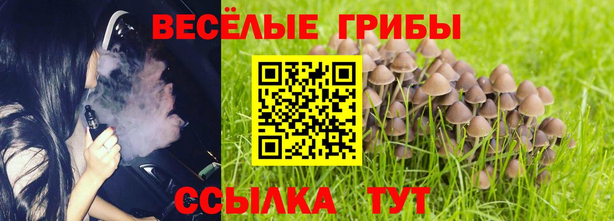 Галлюциногенные грибы Psilocybe  Вход с VPN  где можно купить   Сафоново 